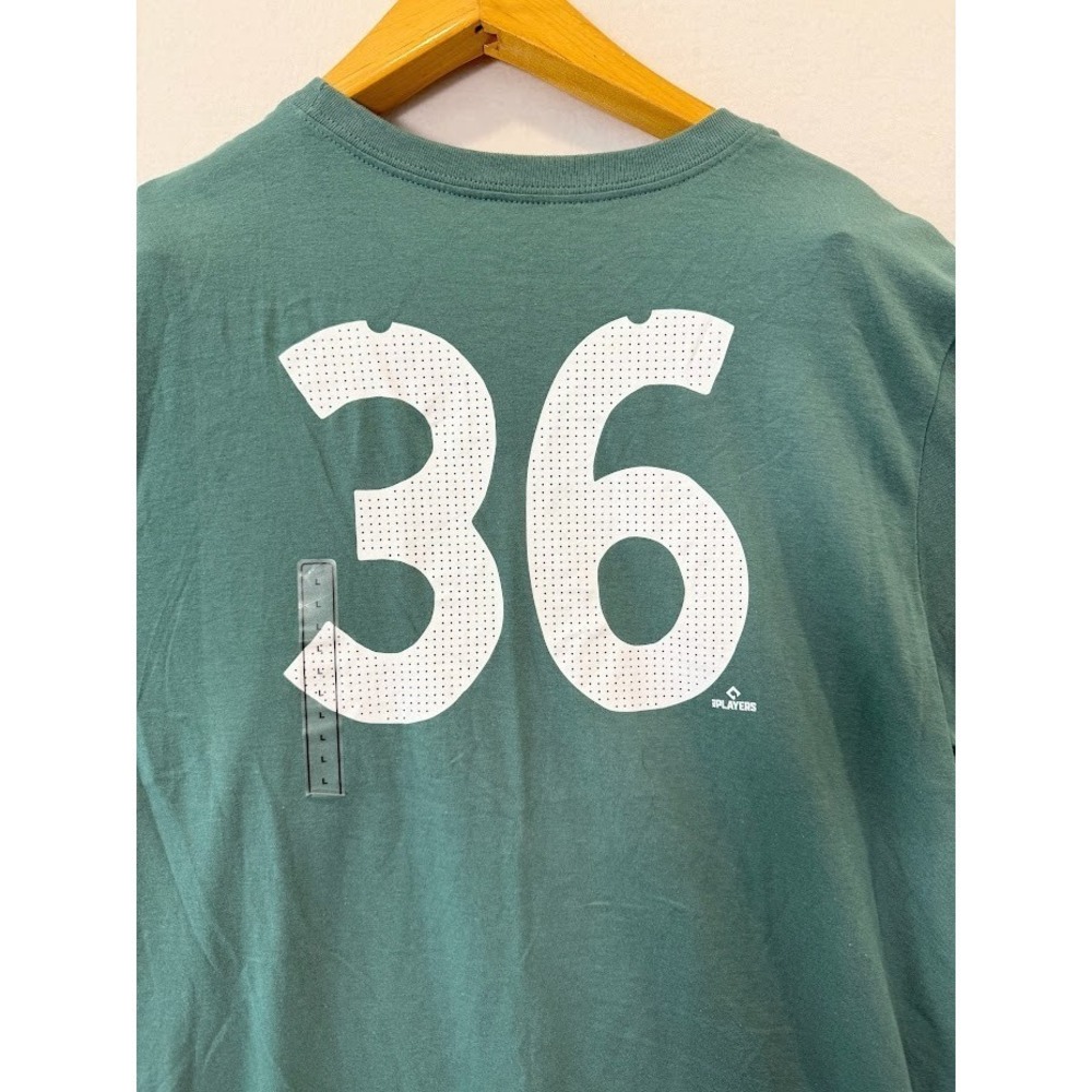 Red Sox Green City Connect T SHIRT Authentic Size Adult Large - NWT Nike - Picture 7 of 12